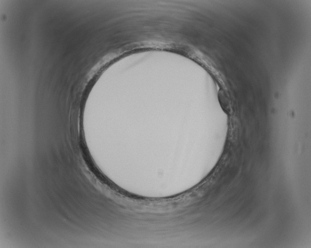 X0000080710011200701051021