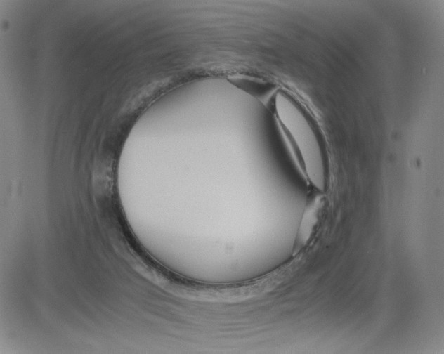 X0000080710017200701051021