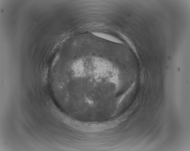 X0000080710018200701051021