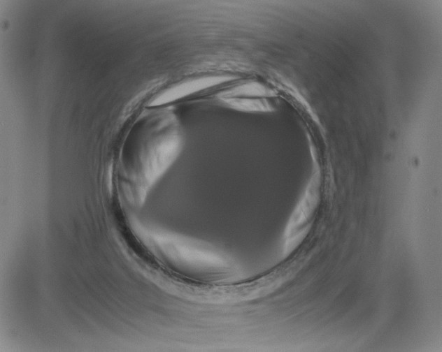 X0000080710019200701051021