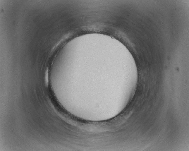 X0000080710020200701051020