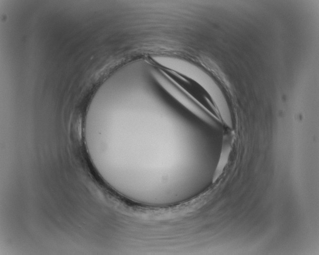 X0000080710021200701051020