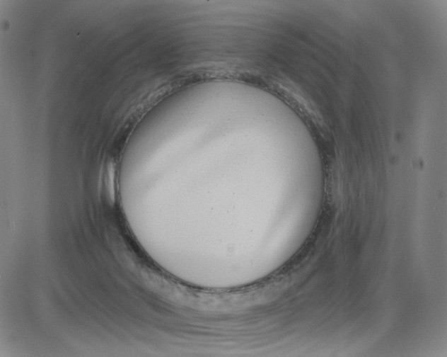 X0000080710022200701051020