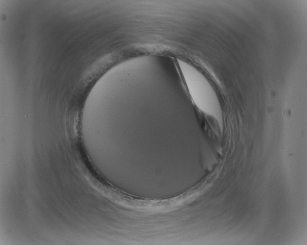 X0000080710023200701051020