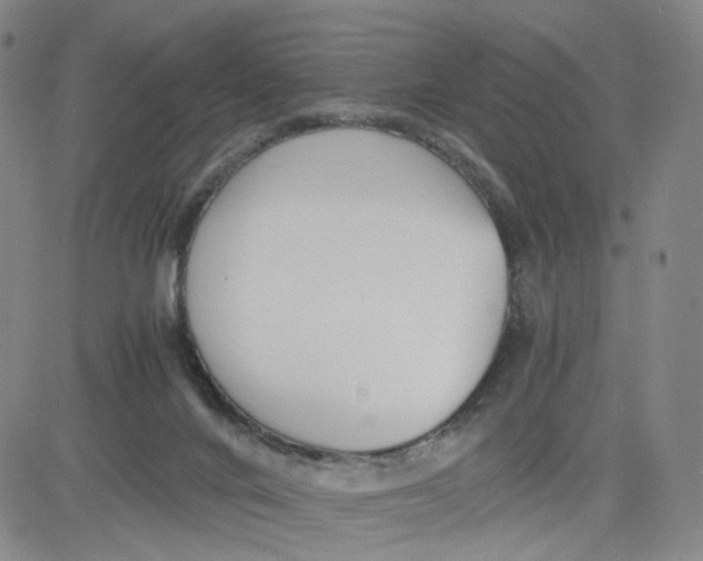 X0000080710024200701051020