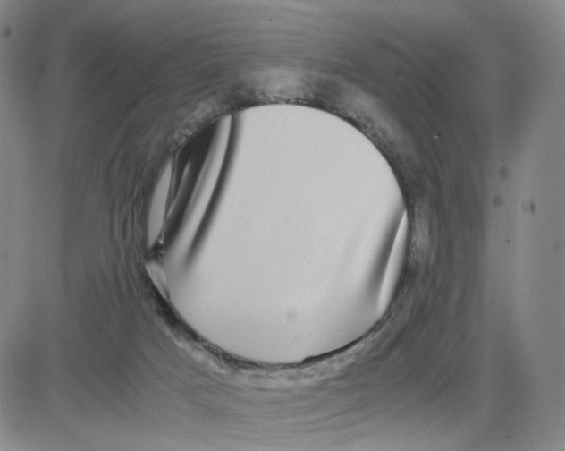 X0000080710025200701051020