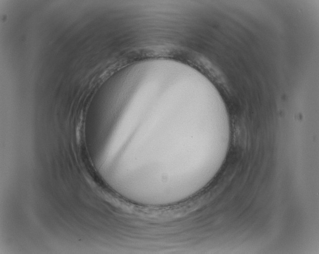 X0000080710026200701051020