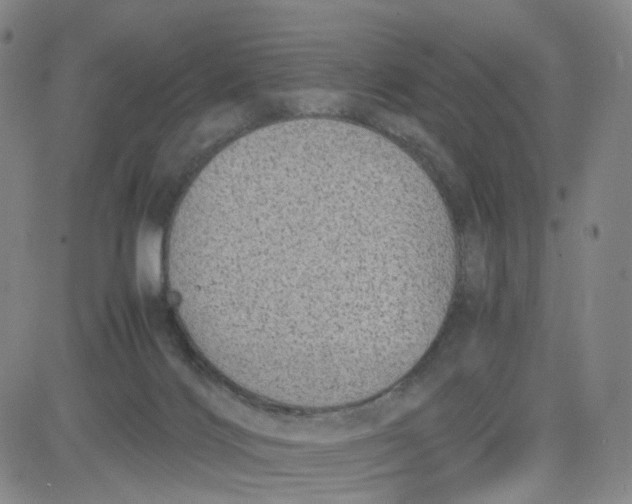 X0000080710028200701051020