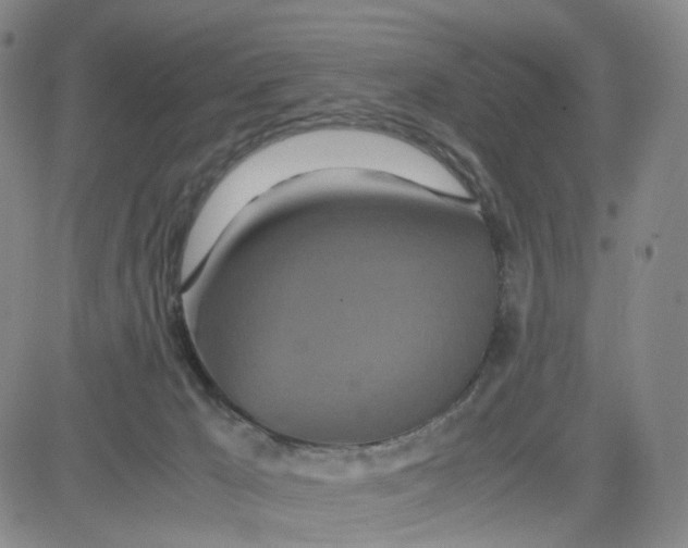 X0000080710029200701051020