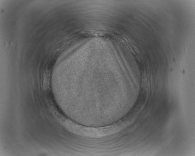 X0000080710030200701051020