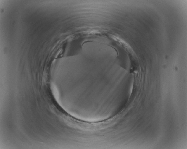 X0000080710035200701051020