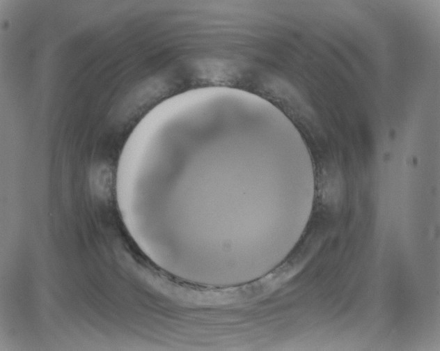 X0000080710036200701051020