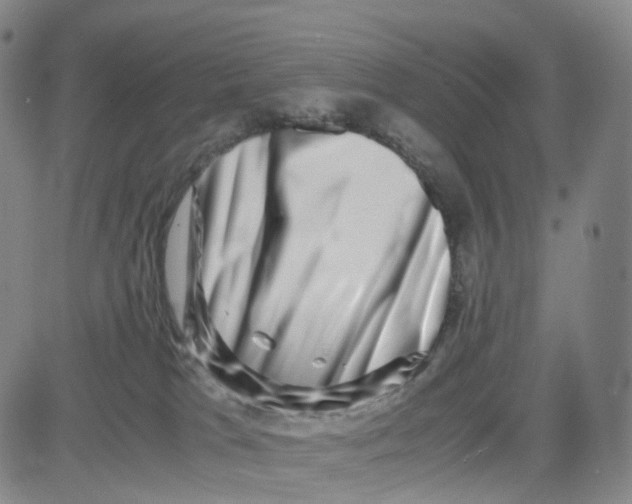 X0000080710037200701051020