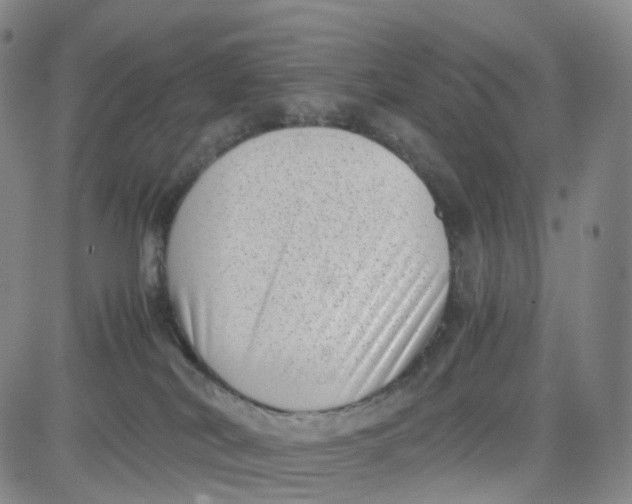 X0000080710038200701051020