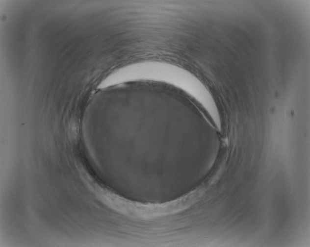 X0000080710039200701051020