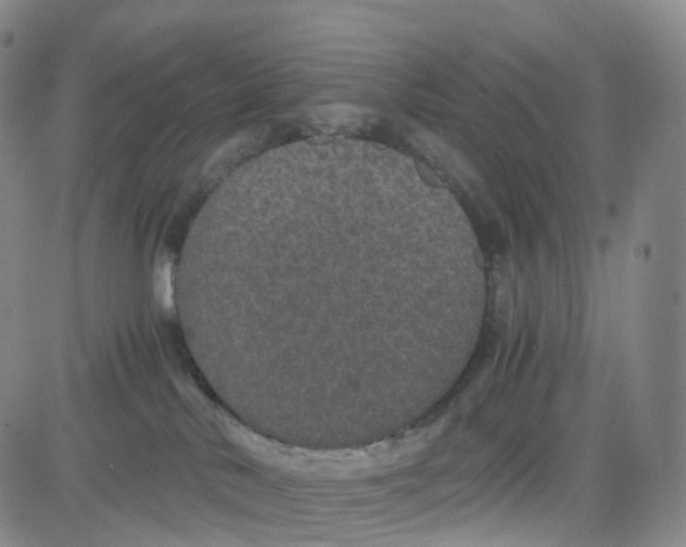 X0000080710042200701051020