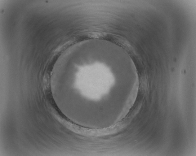 X0000080710043200701051020