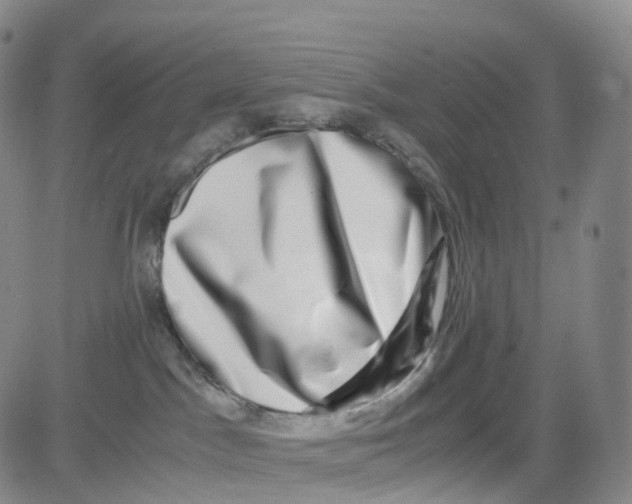 X0000080710045200701051020