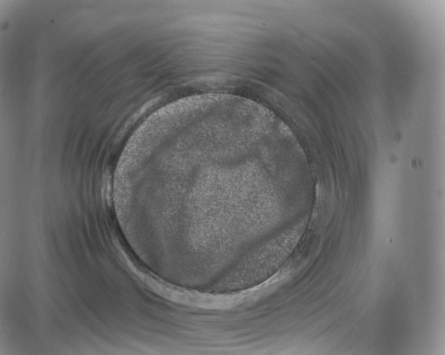 X0000080710048200701051020