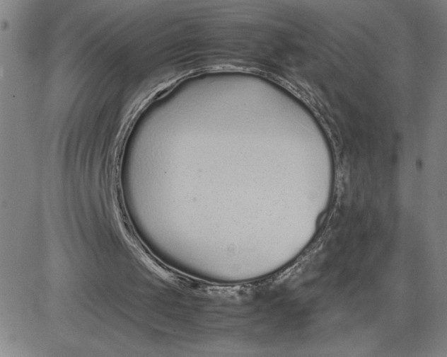 X0000080710049200701051019