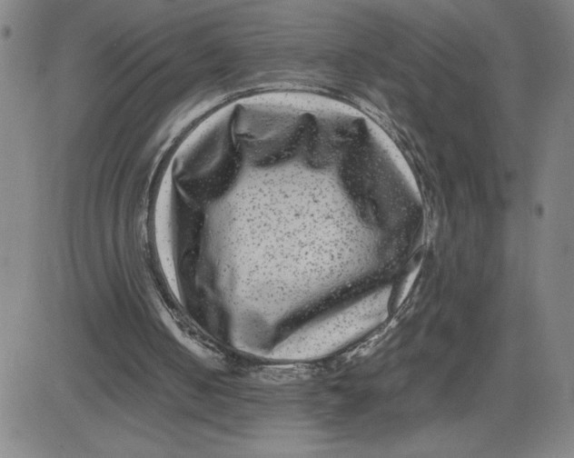 X0000080710050200701051019