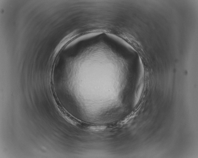 X0000080710051200701051019