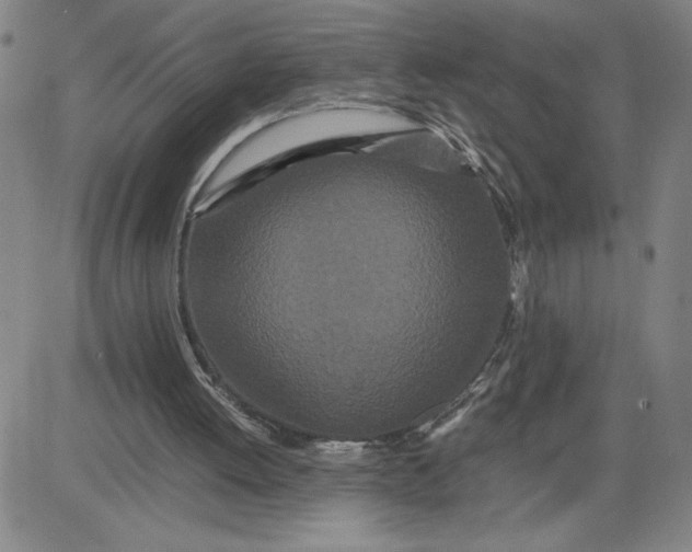 X0000080710052200701051019