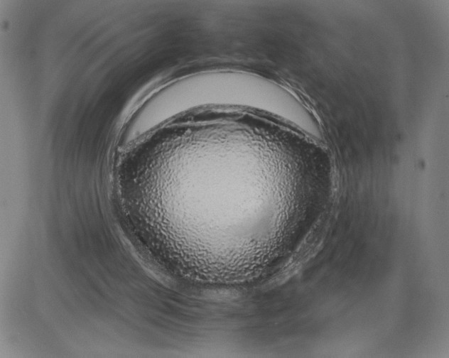 X0000080710053200701051019