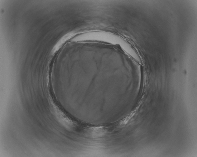 X0000080710054200701051019