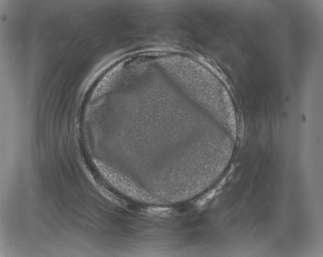 X0000080710055200701051019