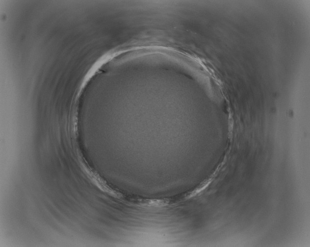 X0000080710056200701051019