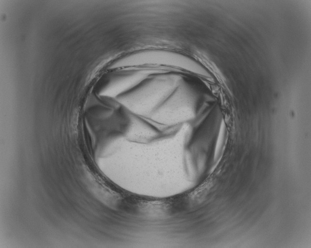 X0000080710058200701051019