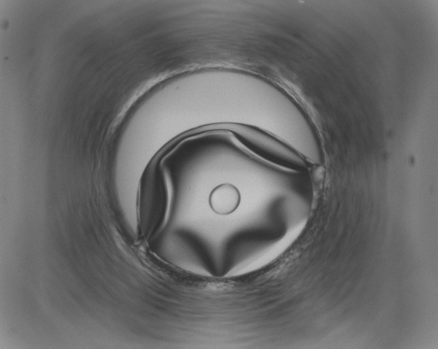 X0000080710060200701051019