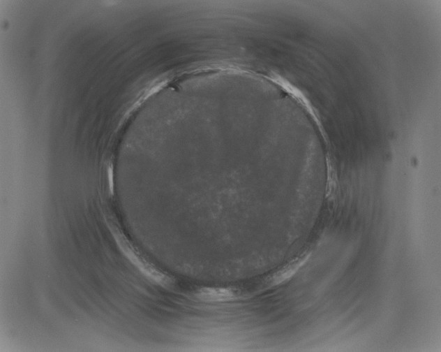 X0000080710061200701051019