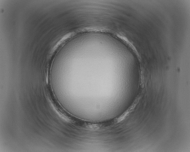 X0000080710062200701051019