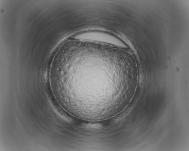 X0000080710063200701051020