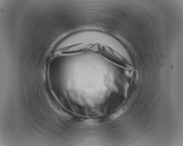 X0000080710064200701051020