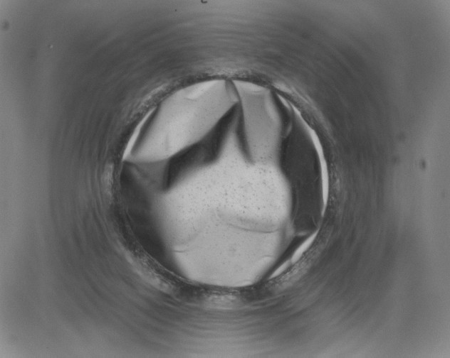 X0000080710066200701051020