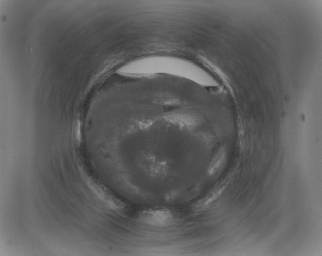 X0000080710067200701051020