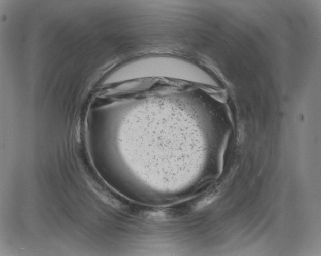 X0000080710068200701051020