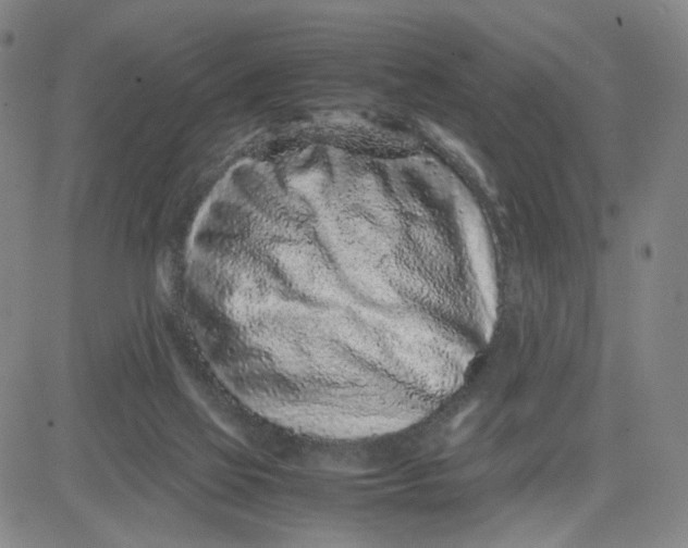 X0000080710069200701051020