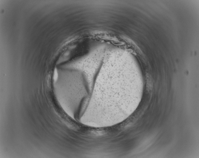 X0000080710071200701051020