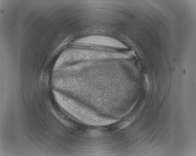 X0000080710072200701051020