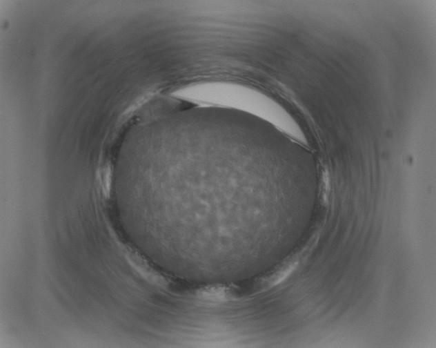 X0000080710076200701051020