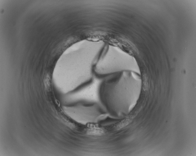 X0000080710077200701051020