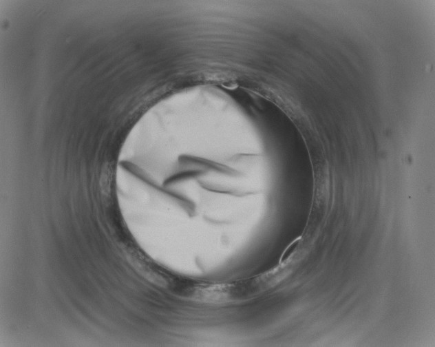 X0000080710078200701051020