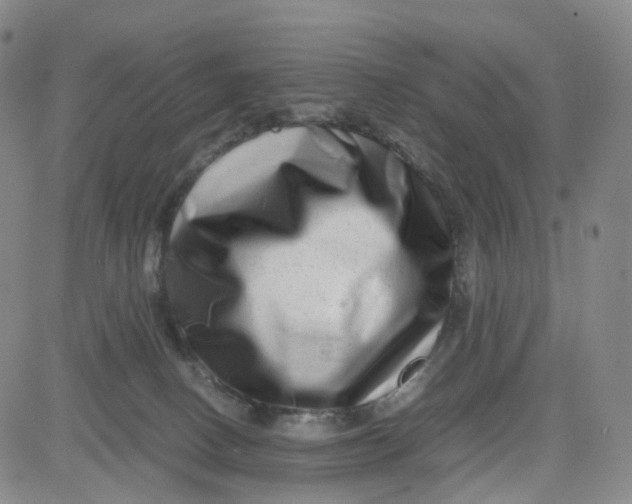 X0000080710082200701051020