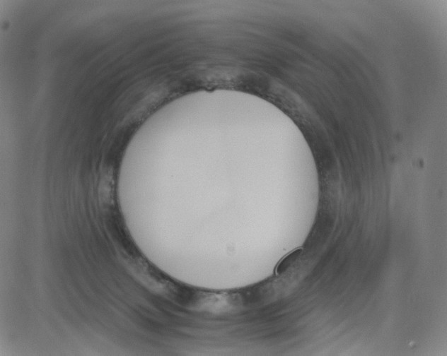 X0000080710083200701051020