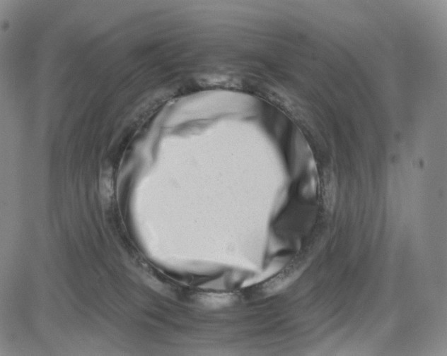 X0000080710085200701051020