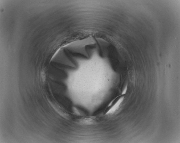 X0000080710086200701051020